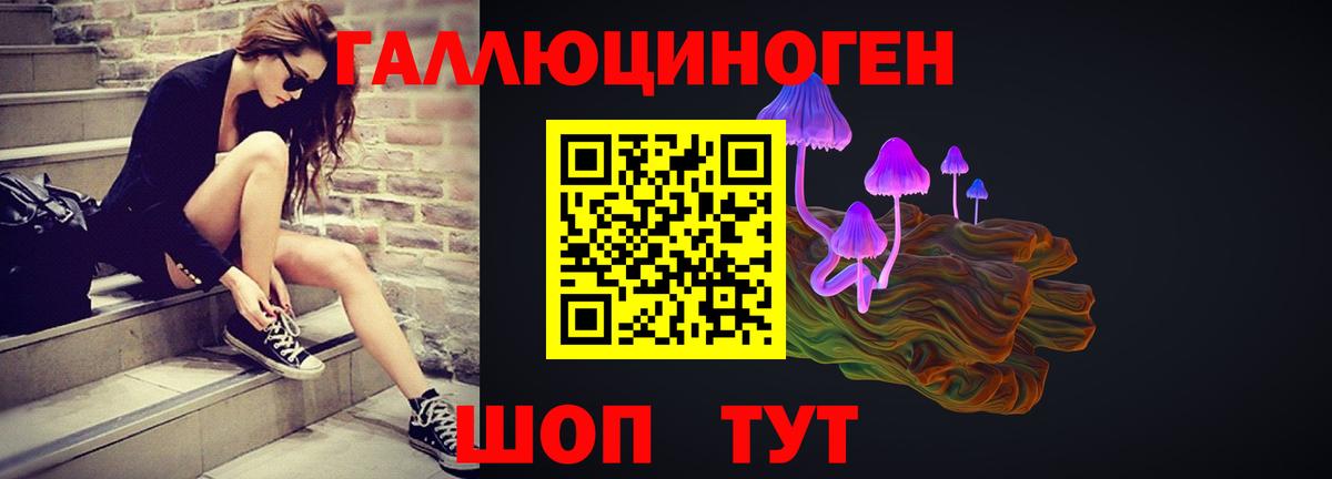 Людиново  Псилоцибиновые грибы Cubensis  закладка  Вход с VPN 