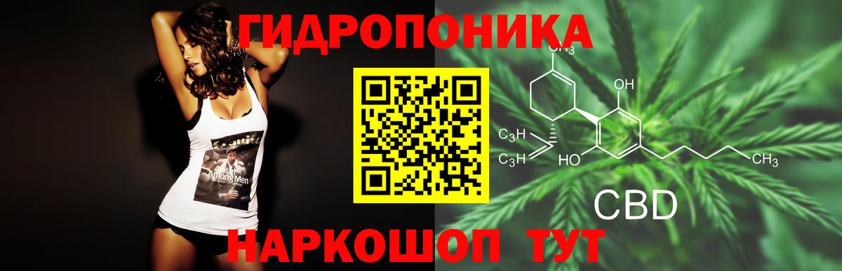 Людиново  Бошки марихуана THC 21%  Вход с VPN  Конопля планчик 